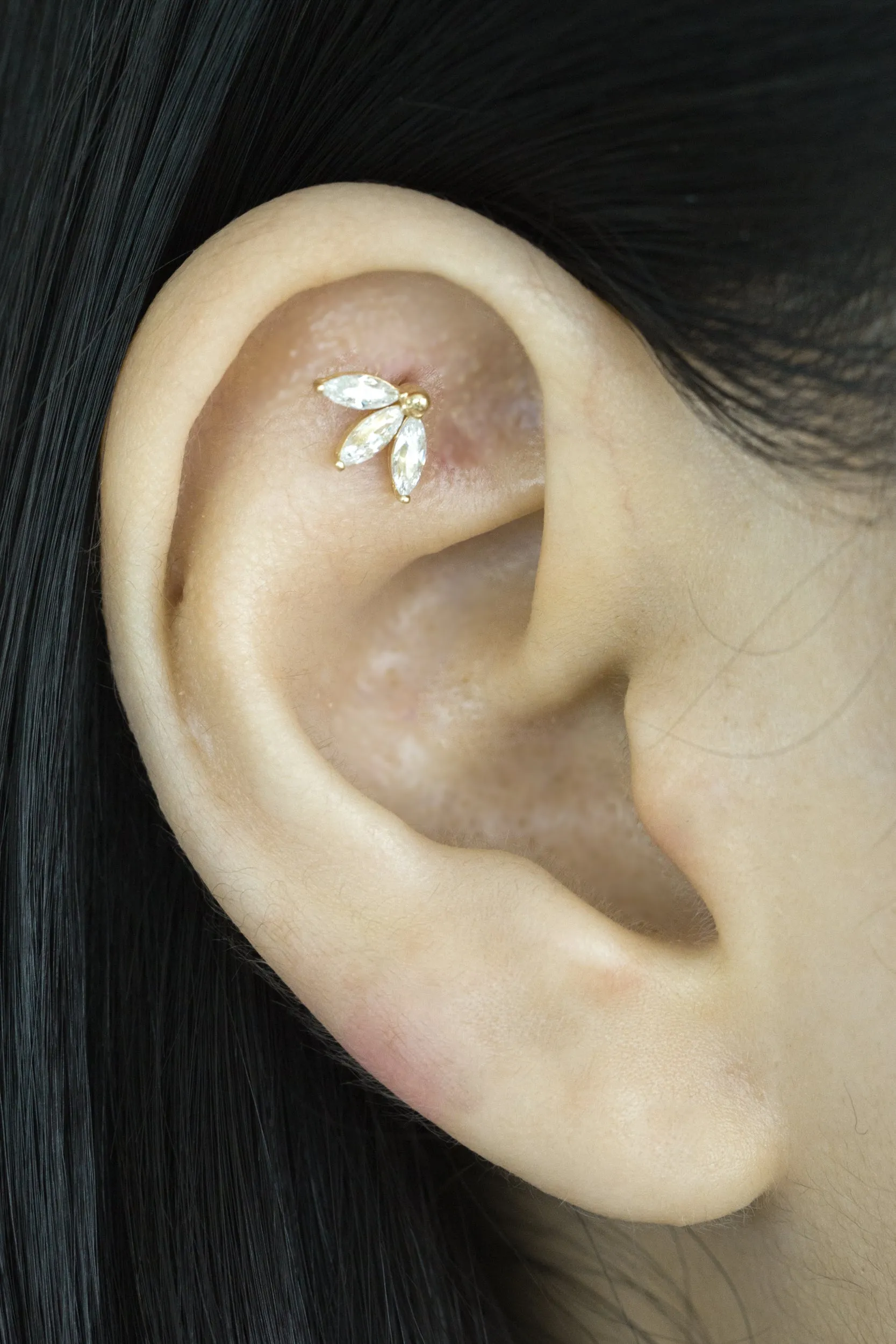 14k Gold Cartilage Cubic Leaves Internally Internal Threaded Labret