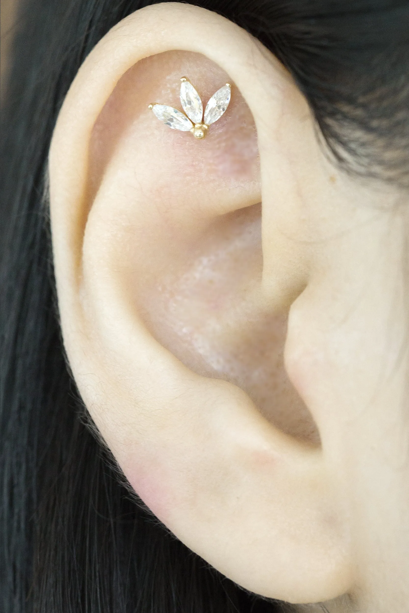 14k Gold Cartilage Cubic Leaves Internally Internal Threaded Labret