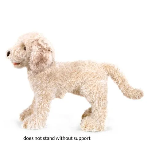 Folkmanis Puppet - Labradoodle