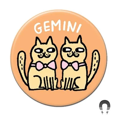 Gemini Magnet