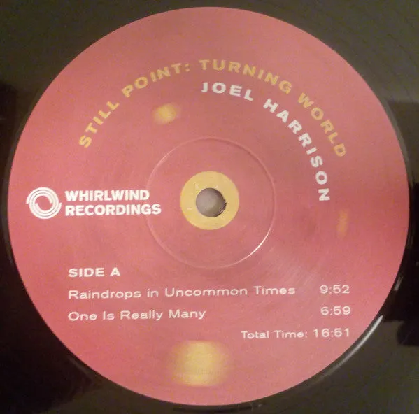 Joel Harrison  ~ Still Point: Turning World