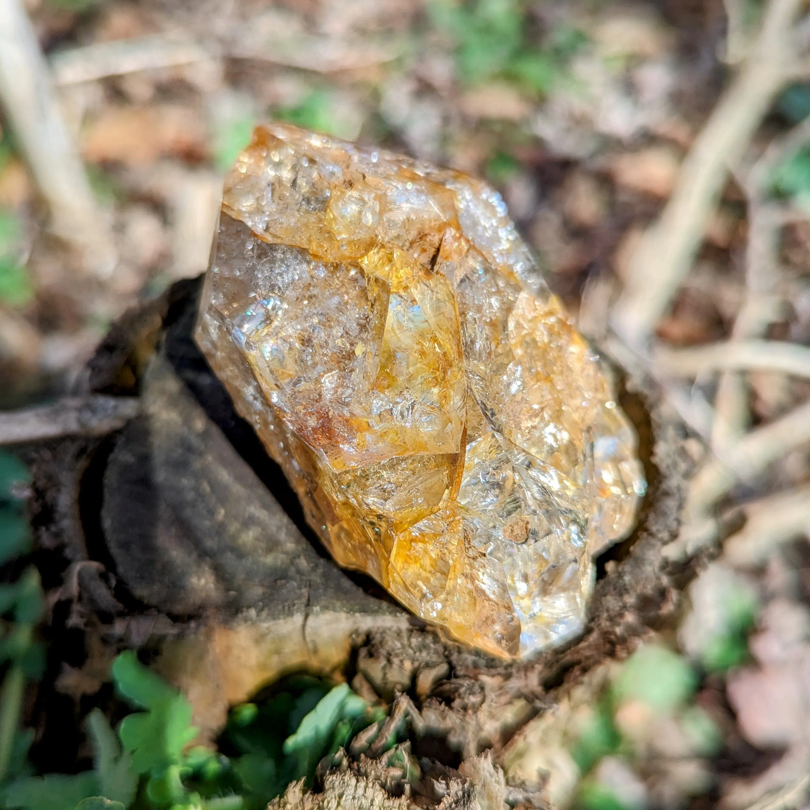 Large Golden Healer Herkimer Diamond  Quartz Crystal ~ Prosperous Healing- Ethically Sourced from New York- Tucson Treasure- Pur